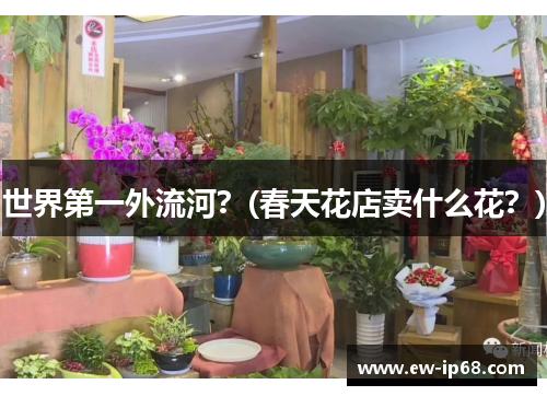 世界第一外流河？(春天花店卖什么花？)